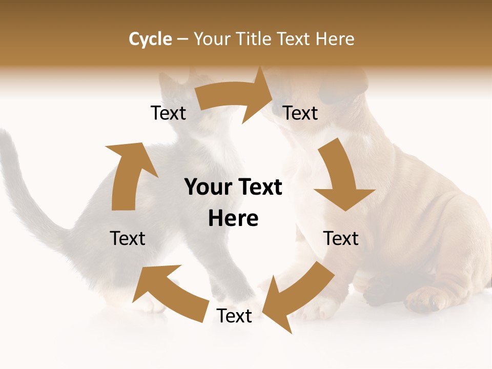 Friends Cat Emotions PowerPoint Template