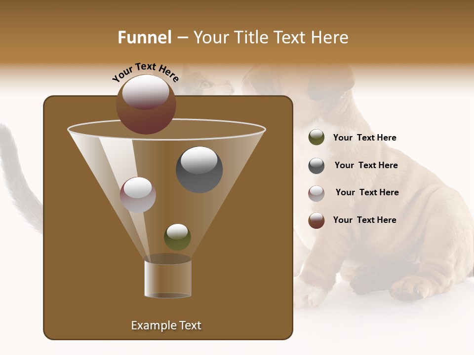 Friends Cat Emotions PowerPoint Template