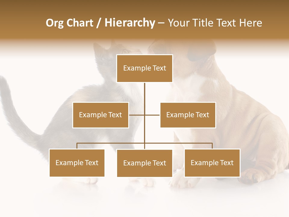 Friends Cat Emotions PowerPoint Template