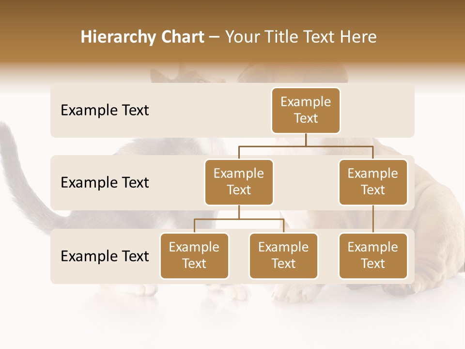 Friends Cat Emotions PowerPoint Template