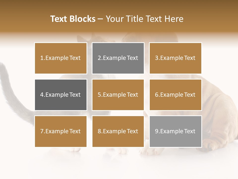 Friends Cat Emotions PowerPoint Template