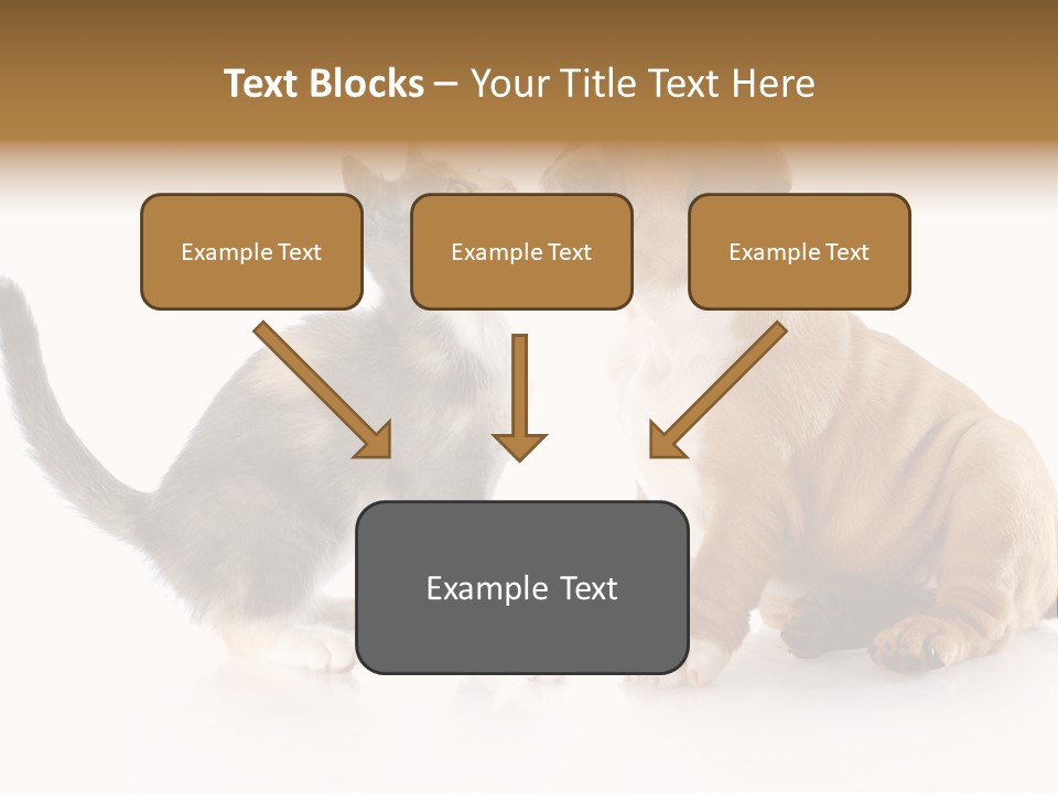 Friends Cat Emotions PowerPoint Template