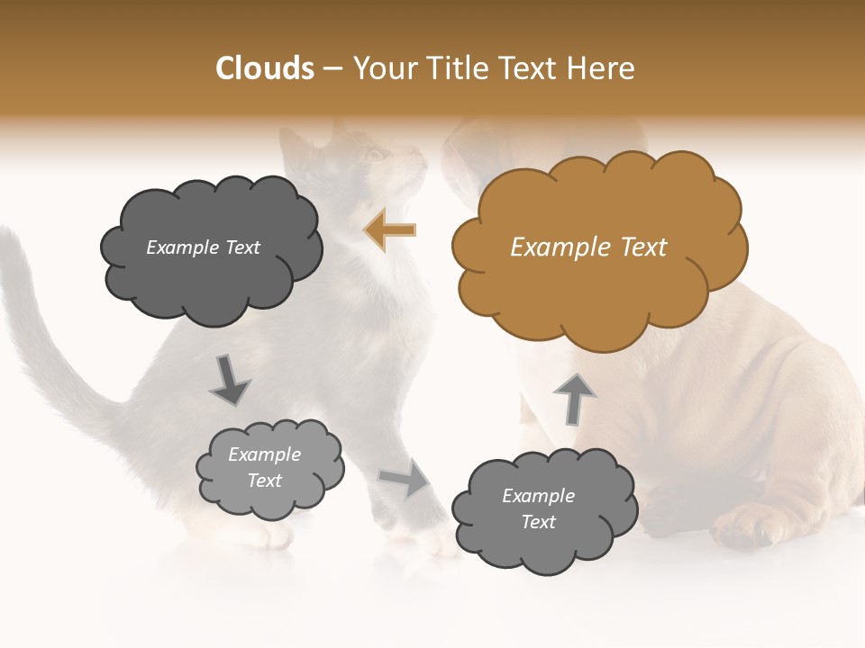 Friends Cat Emotions PowerPoint Template