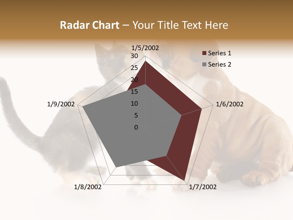 Friends Cat Emotions PowerPoint Template