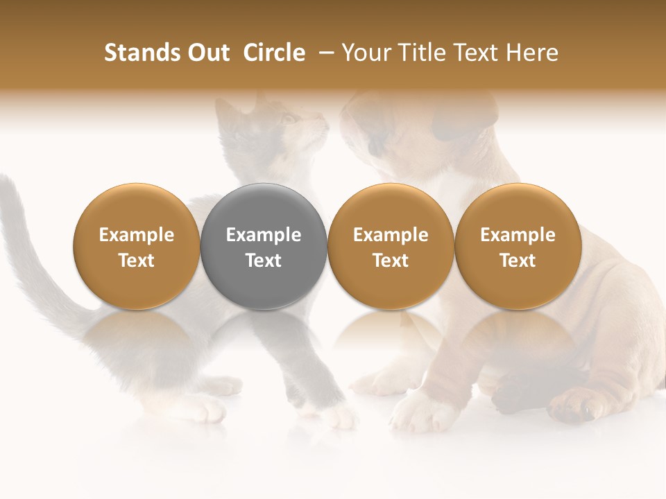 Friends Cat Emotions PowerPoint Template