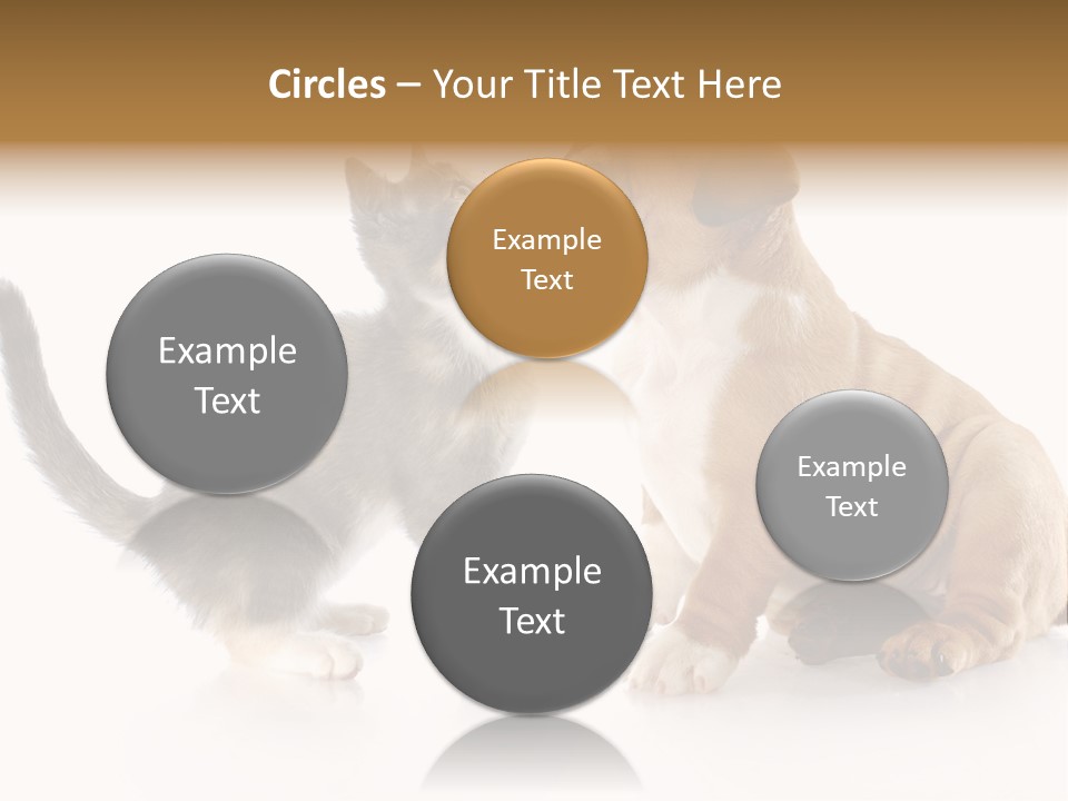 Friends Cat Emotions PowerPoint Template