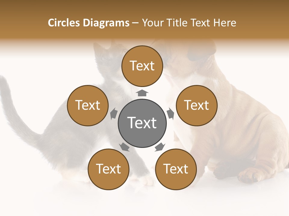 Friends Cat Emotions PowerPoint Template