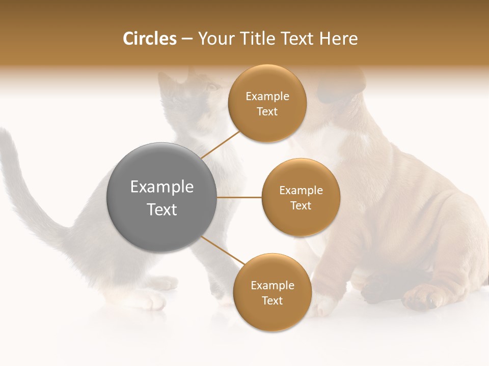 Friends Cat Emotions PowerPoint Template
