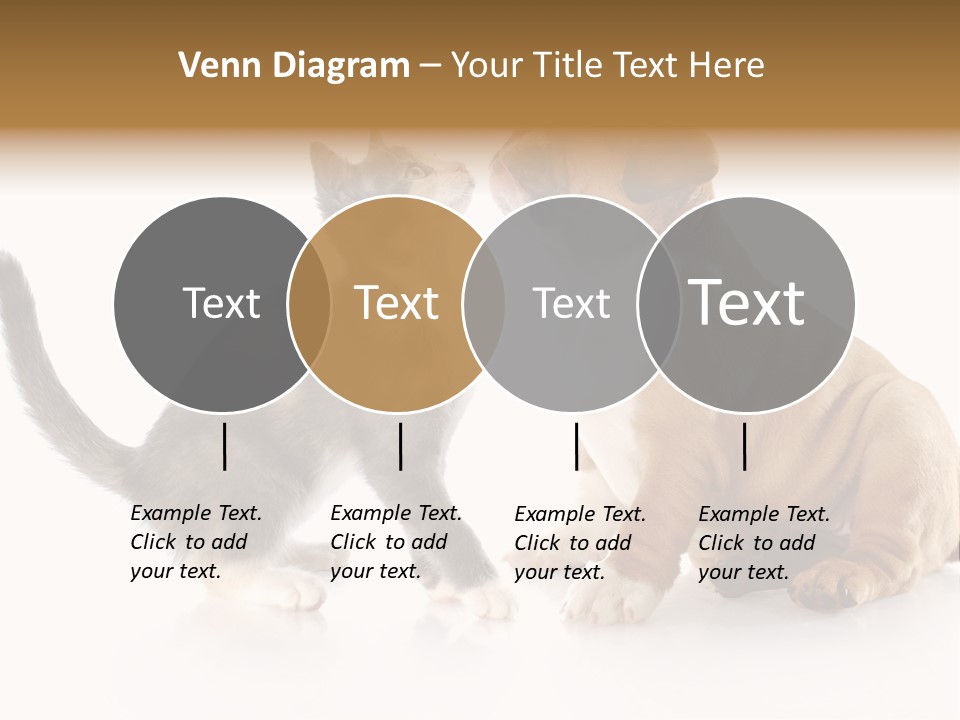 Friends Cat Emotions PowerPoint Template