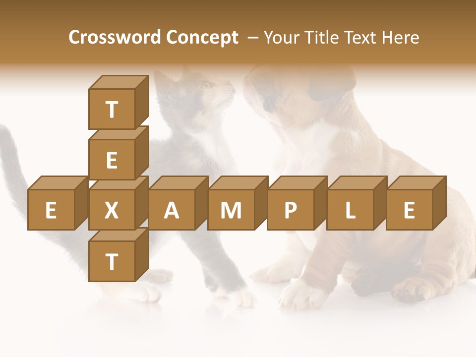 Friends Cat Emotions PowerPoint Template