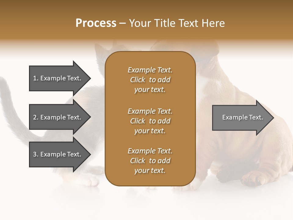 Friends Cat Emotions PowerPoint Template