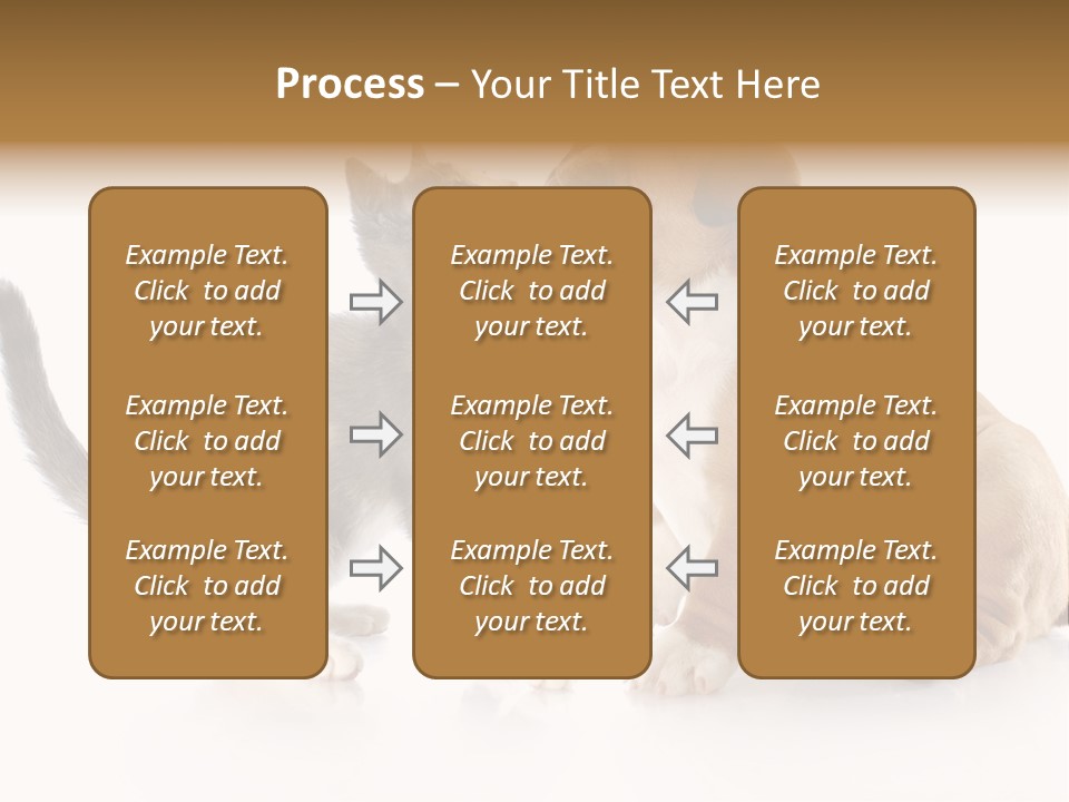 Friends Cat Emotions PowerPoint Template
