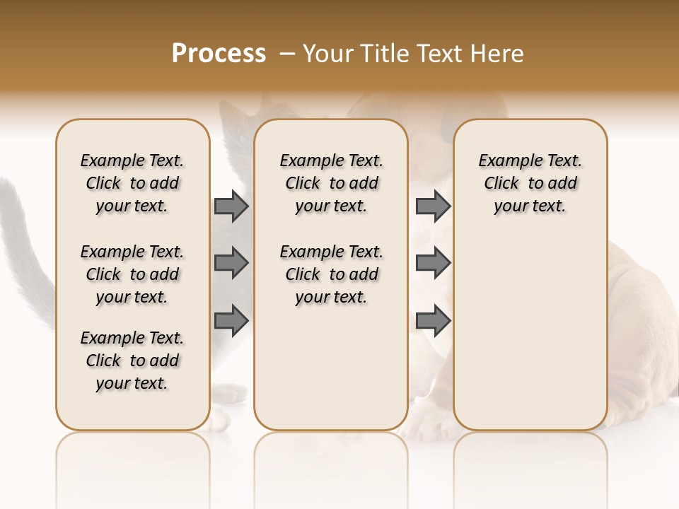 Friends Cat Emotions PowerPoint Template