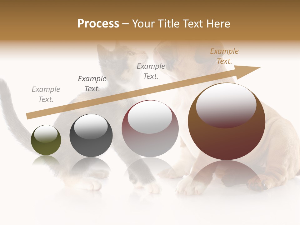 Friends Cat Emotions PowerPoint Template