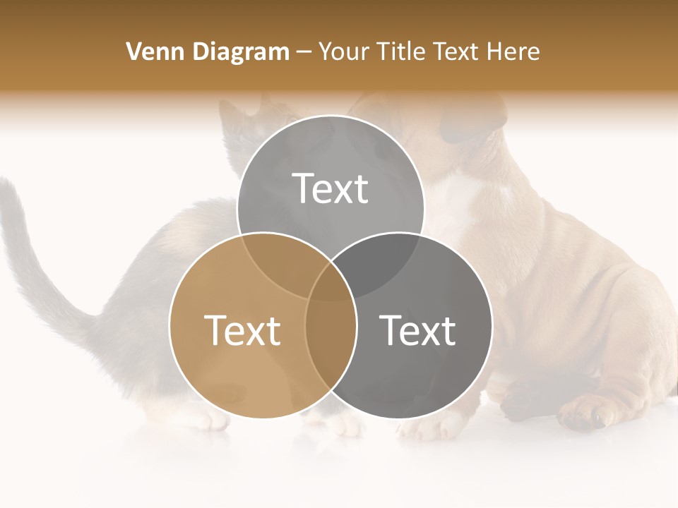 Friends Cat Emotions PowerPoint Template