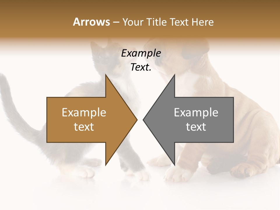 Friends Cat Emotions PowerPoint Template