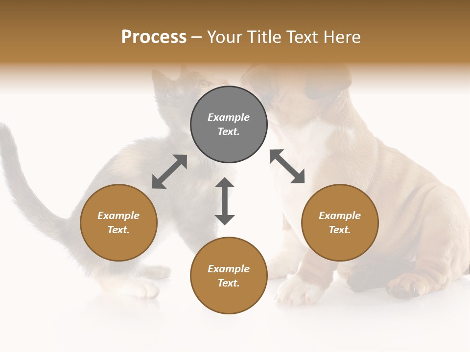 Friends Cat Emotions PowerPoint Template