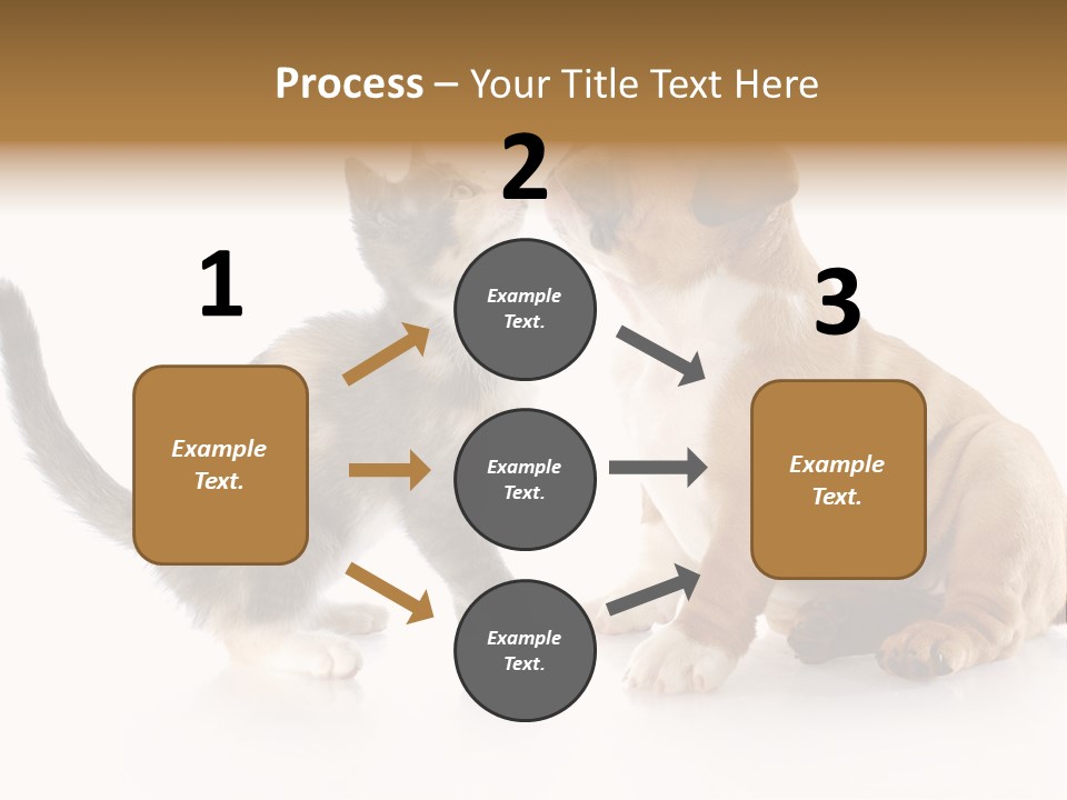 Friends Cat Emotions PowerPoint Template