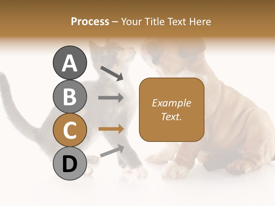 Friends Cat Emotions PowerPoint Template