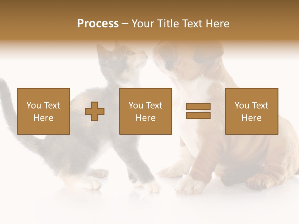 Friends Cat Emotions PowerPoint Template
