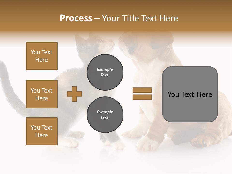 Friends Cat Emotions PowerPoint Template