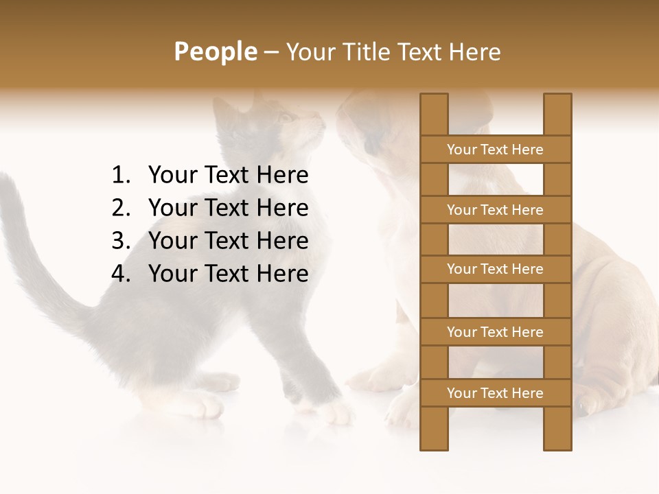 Friends Cat Emotions PowerPoint Template