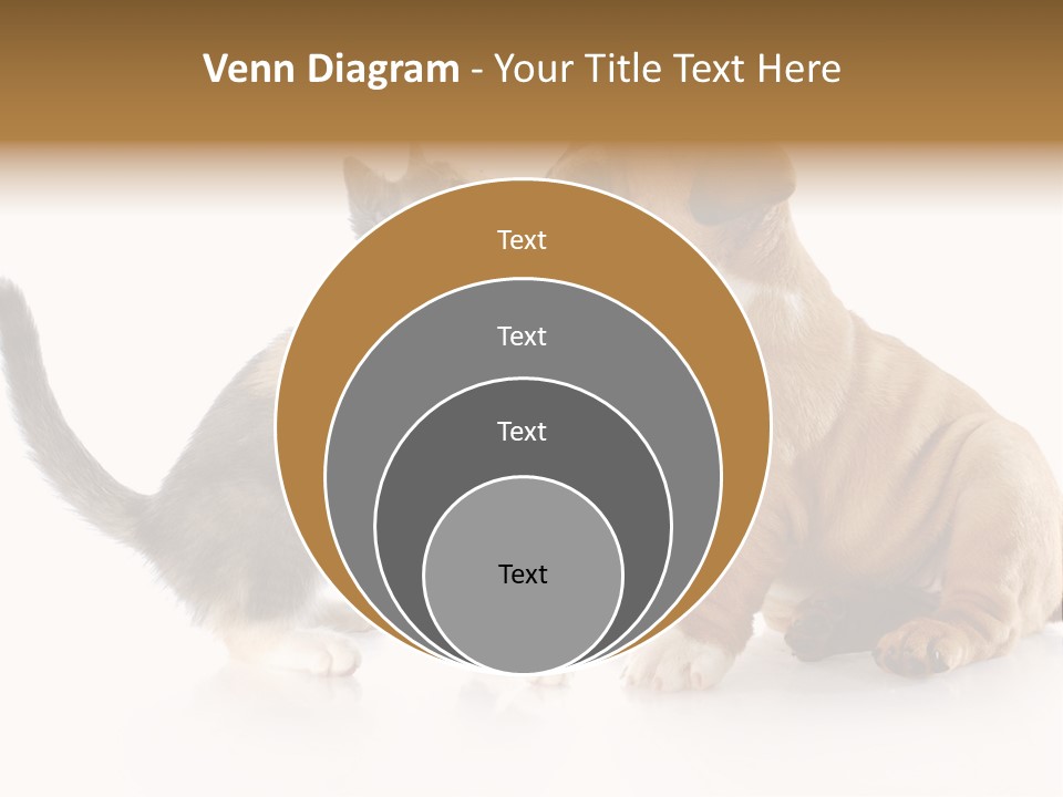 Friends Cat Emotions PowerPoint Template