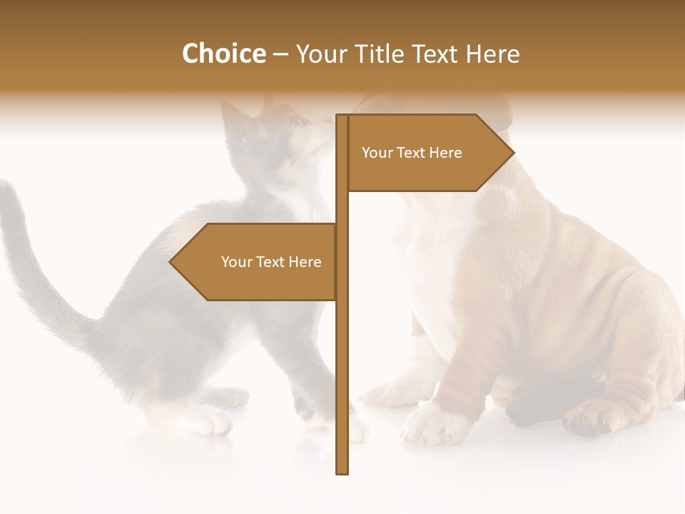 Friends Cat Emotions PowerPoint Template