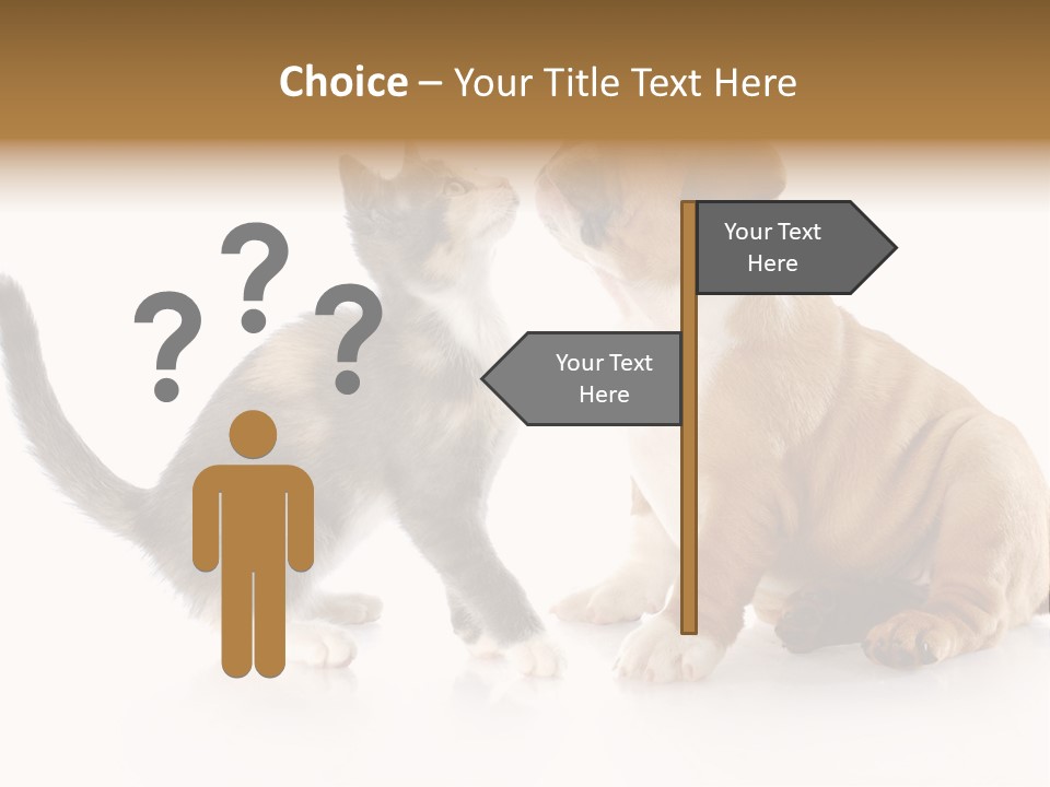 Friends Cat Emotions PowerPoint Template