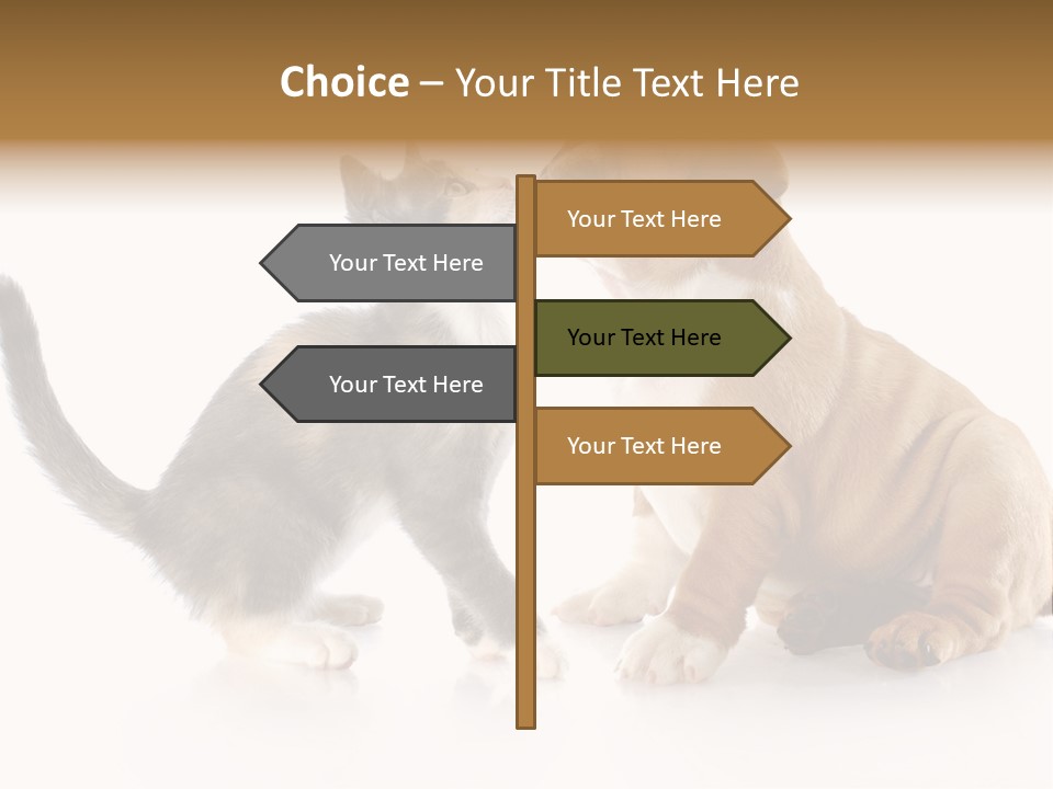 Friends Cat Emotions PowerPoint Template