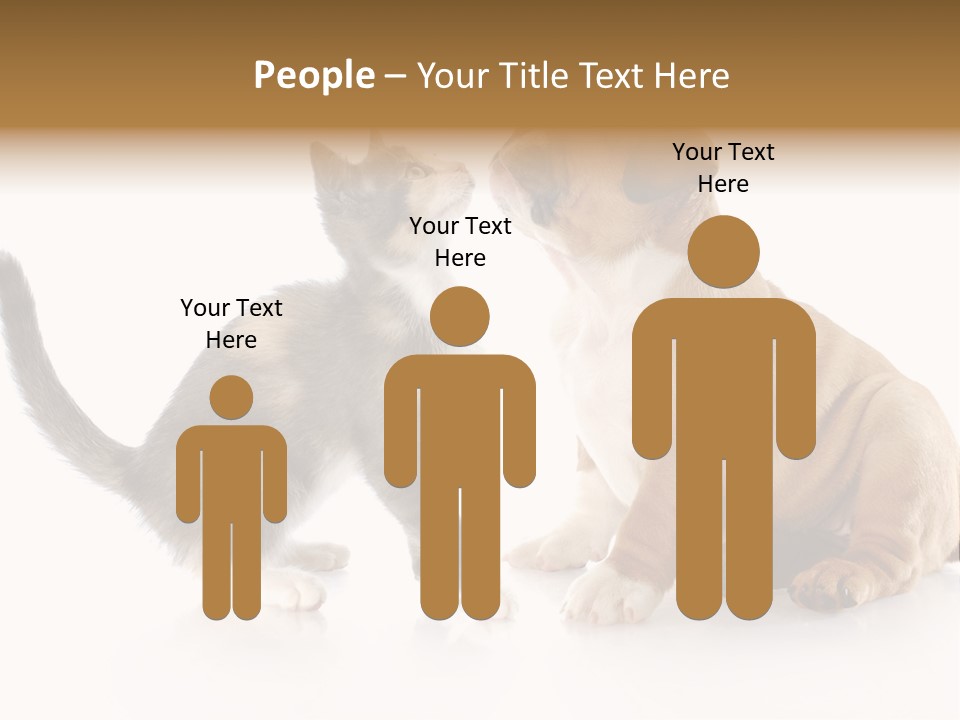 Friends Cat Emotions PowerPoint Template