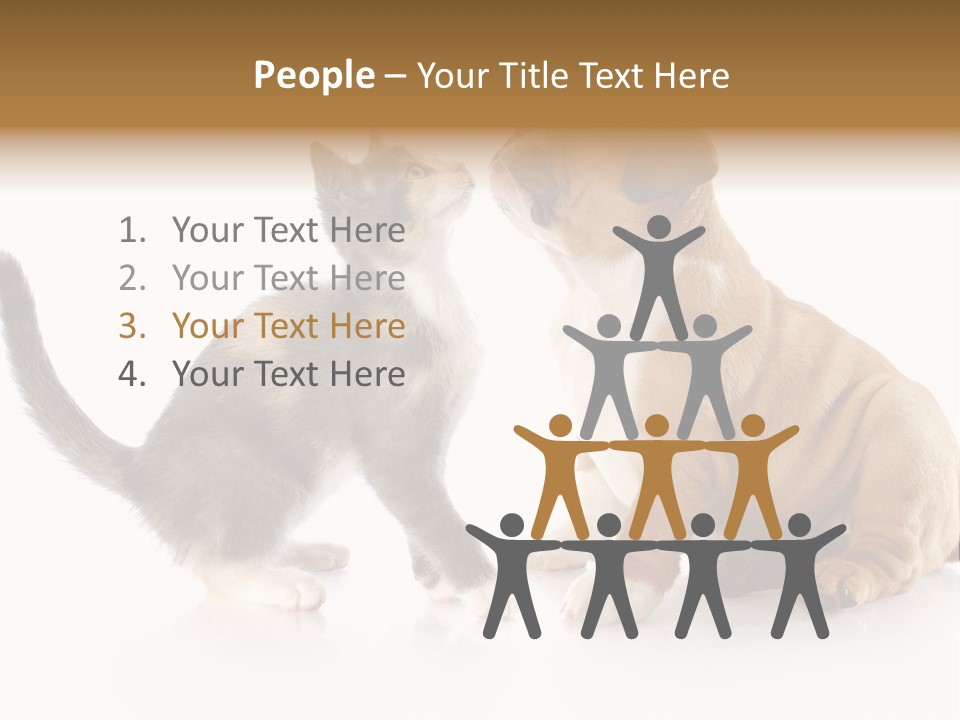 Friends Cat Emotions PowerPoint Template