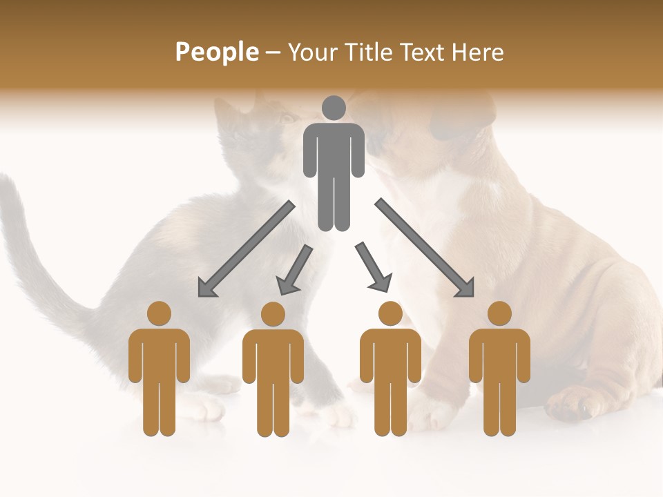 Friends Cat Emotions PowerPoint Template