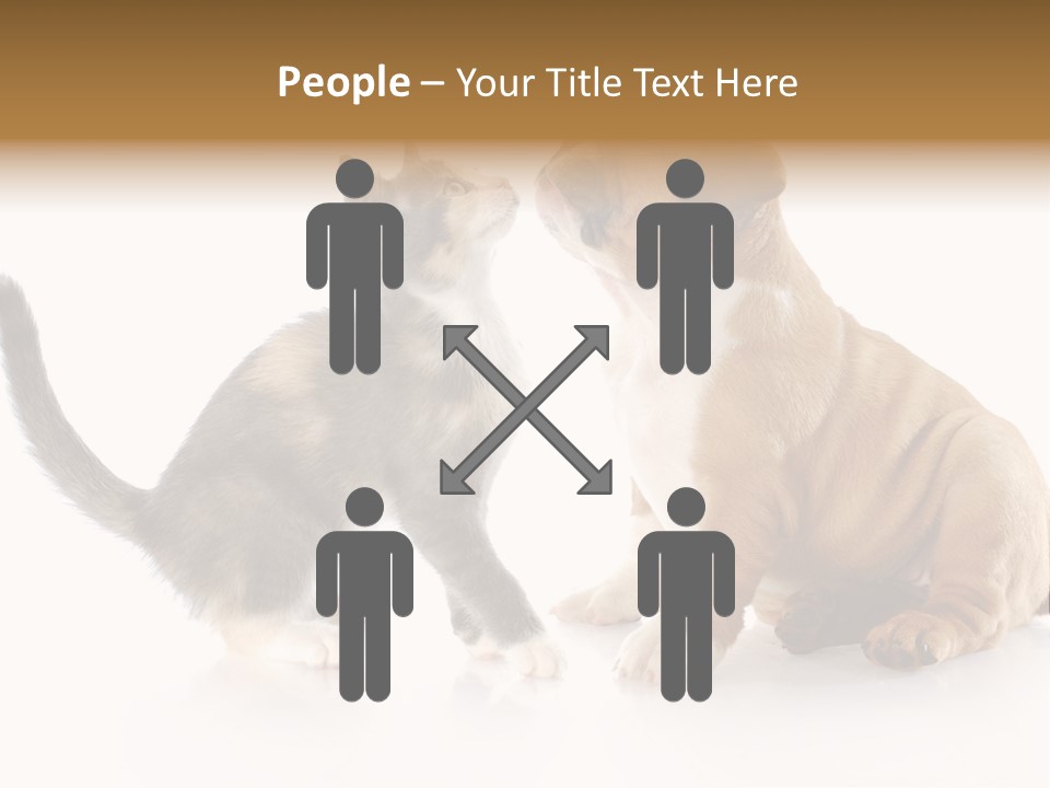 Friends Cat Emotions PowerPoint Template