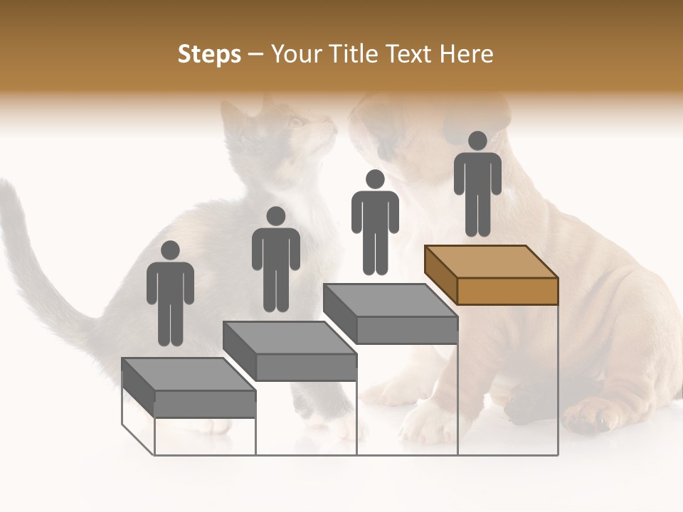 Friends Cat Emotions PowerPoint Template