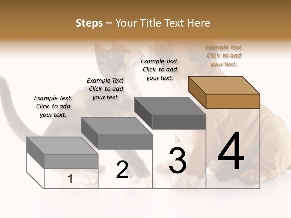 Friends Cat Emotions PowerPoint Template