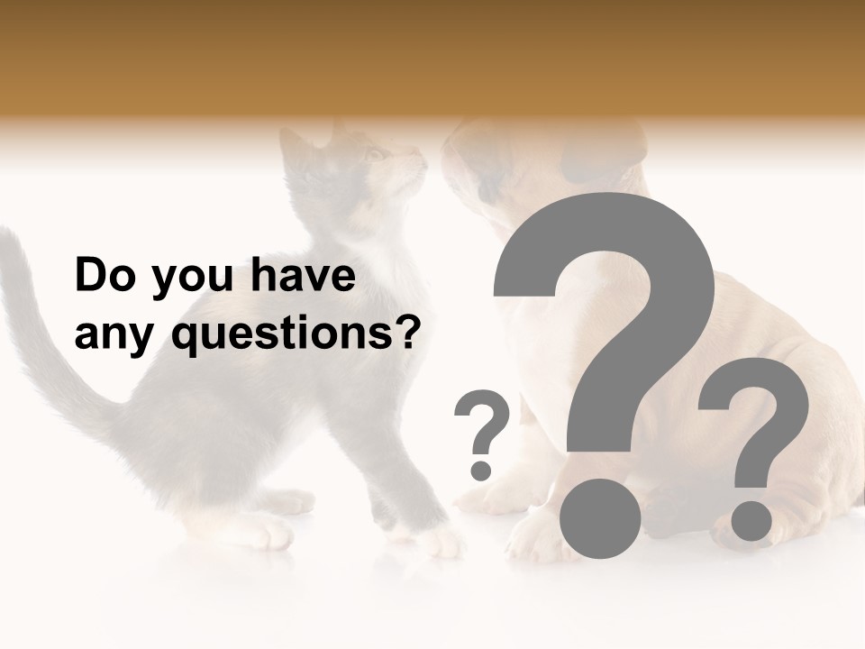 Friends Cat Emotions PowerPoint Template