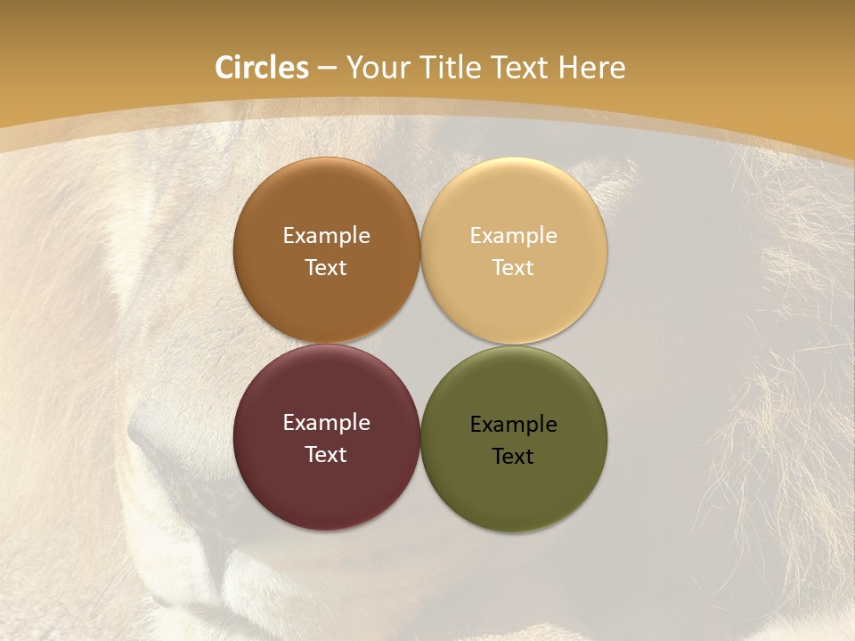 Laying African Wise PowerPoint Template