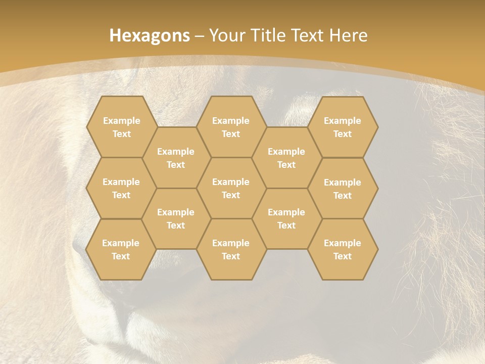 Laying African Wise PowerPoint Template