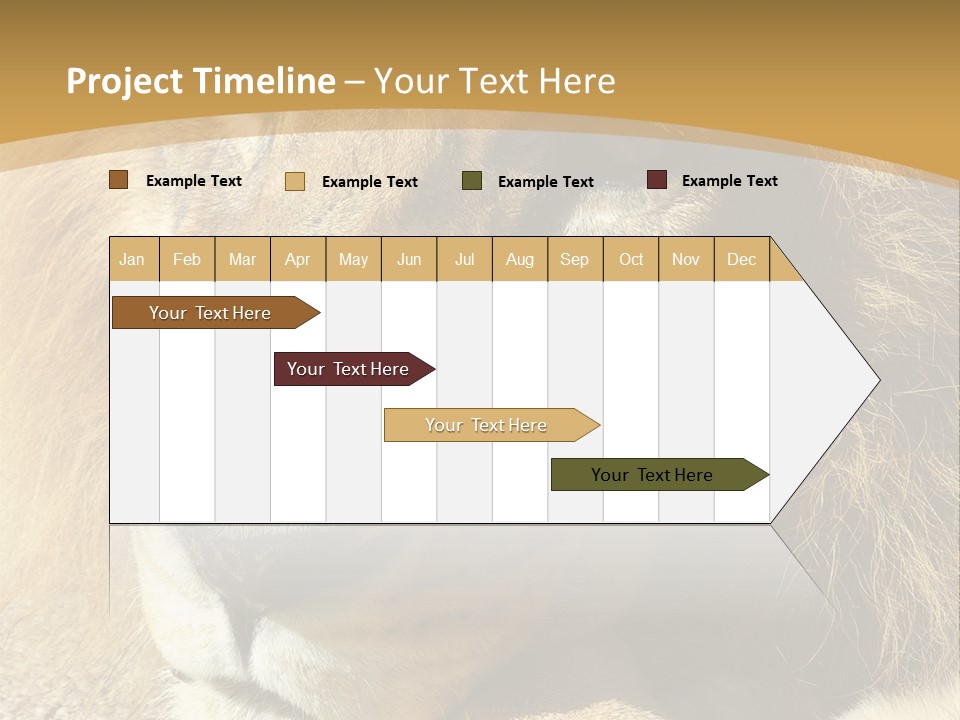 Laying African Wise PowerPoint Template