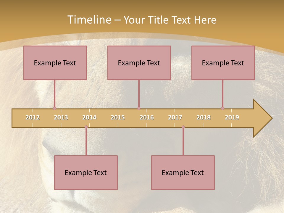 Laying African Wise PowerPoint Template