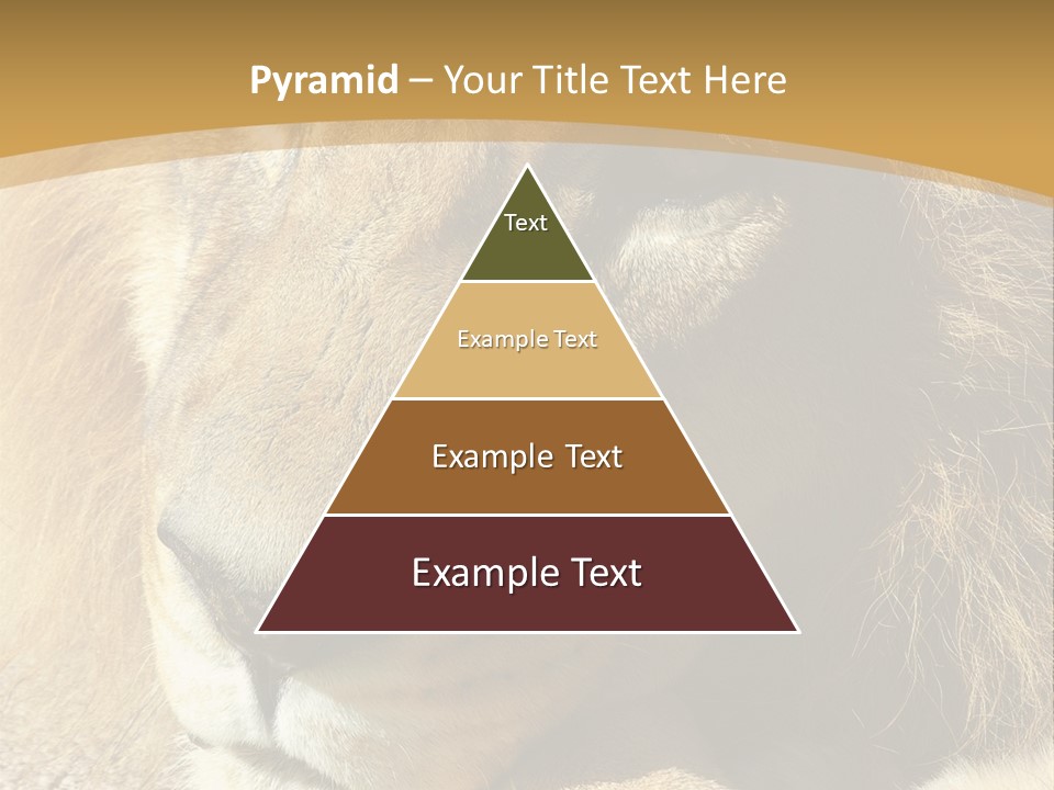 Laying African Wise PowerPoint Template