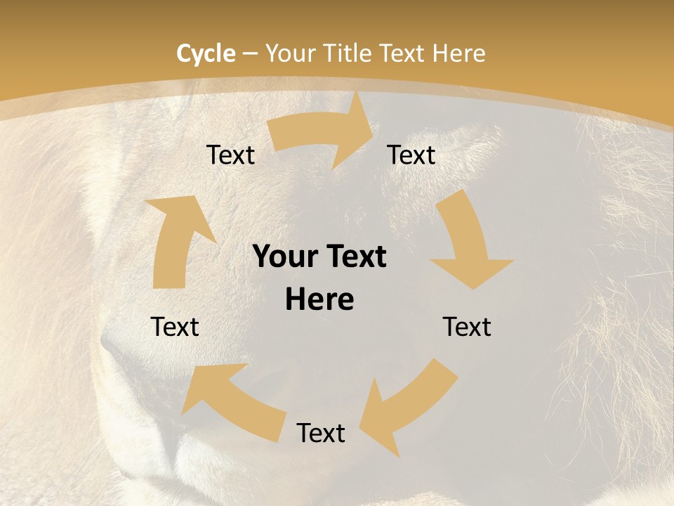 Laying African Wise PowerPoint Template