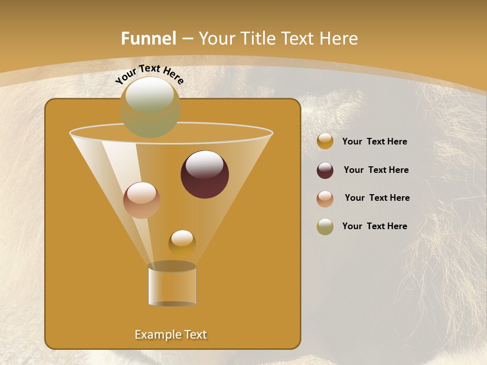 Laying African Wise PowerPoint Template
