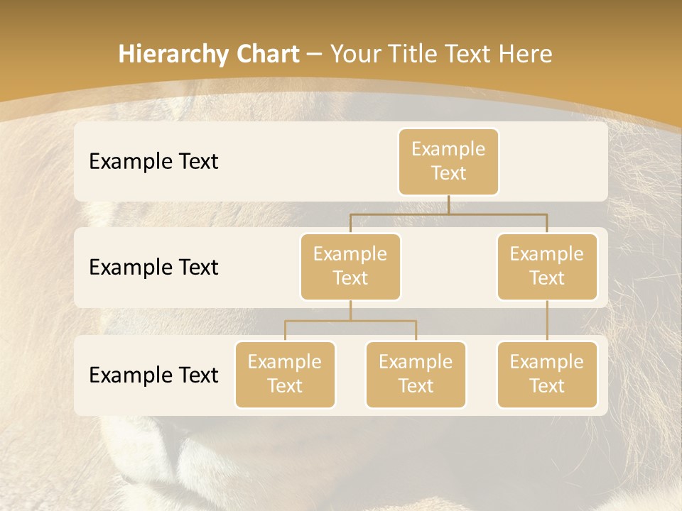 Laying African Wise PowerPoint Template