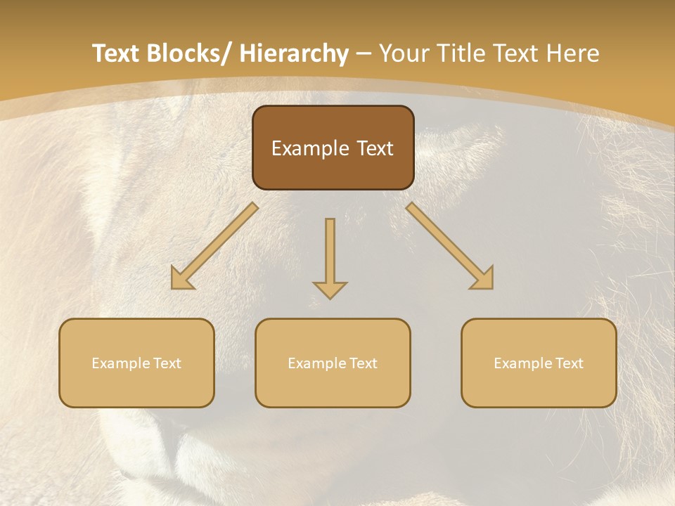 Laying African Wise PowerPoint Template