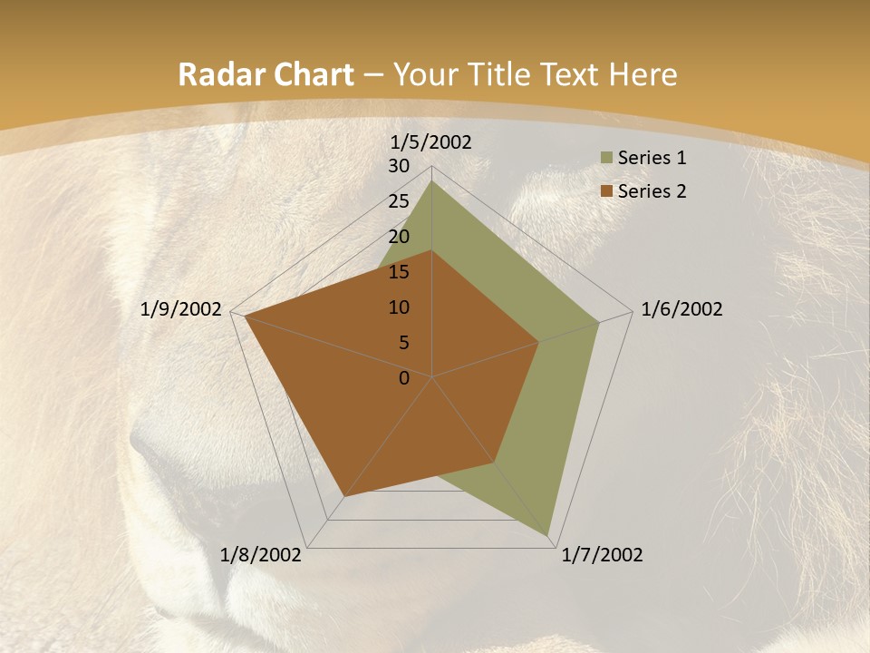 Laying African Wise PowerPoint Template
