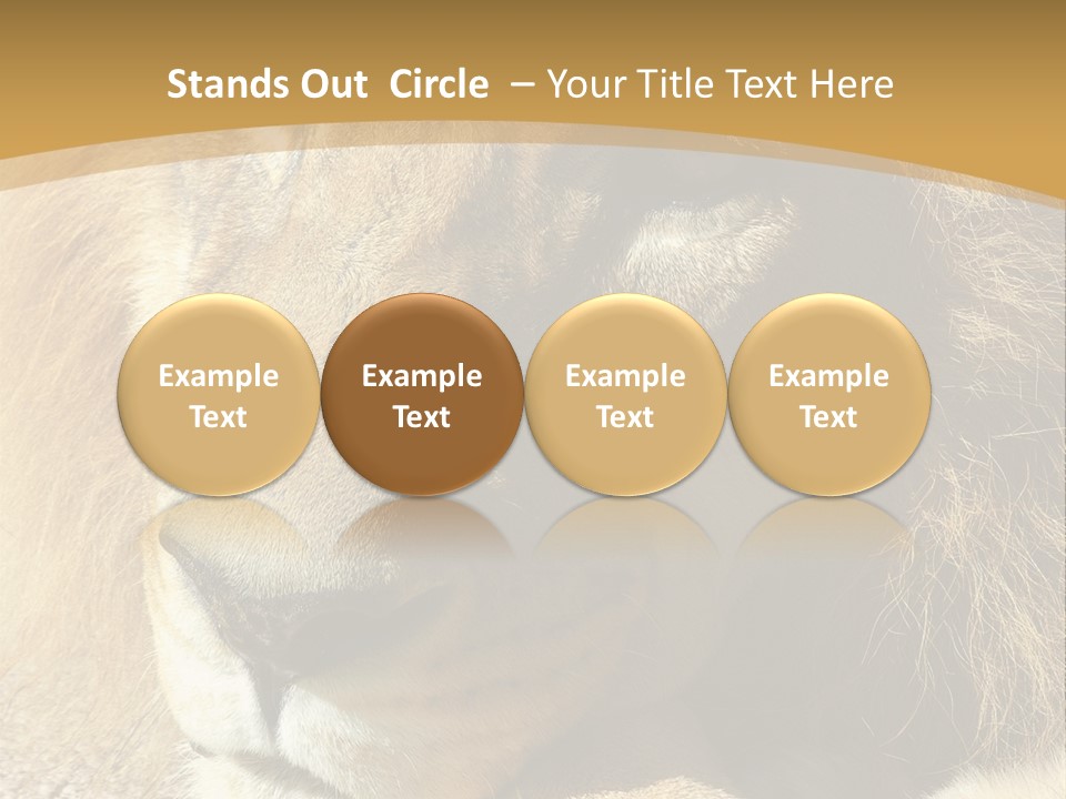 Laying African Wise PowerPoint Template