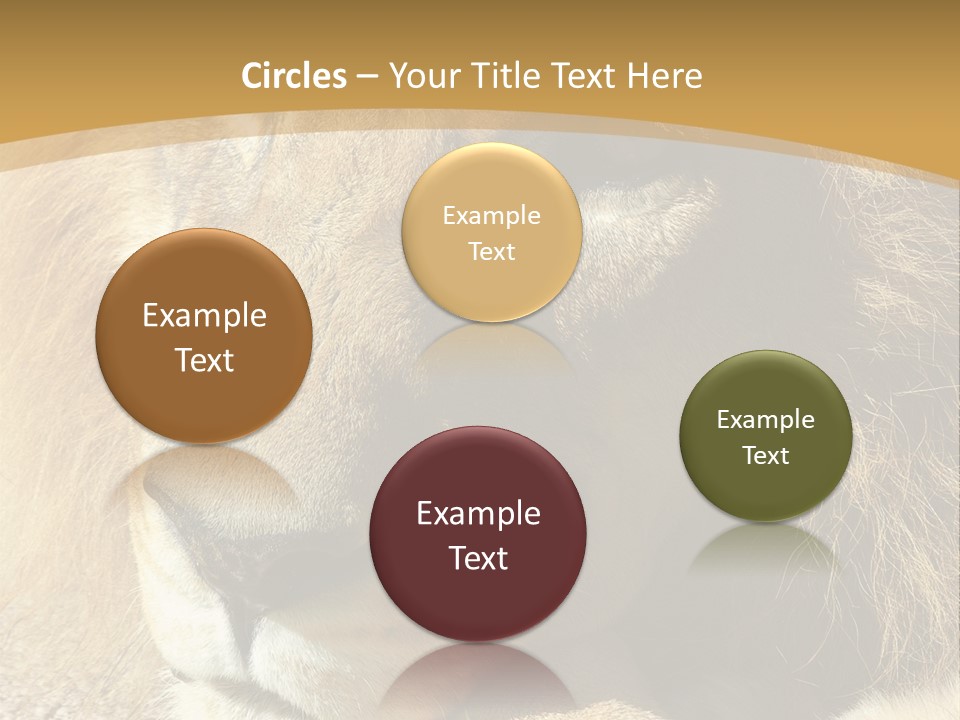 Laying African Wise PowerPoint Template