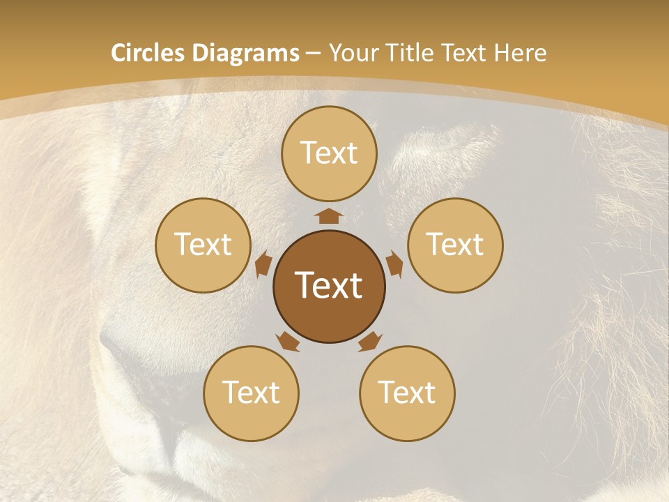 Laying African Wise PowerPoint Template